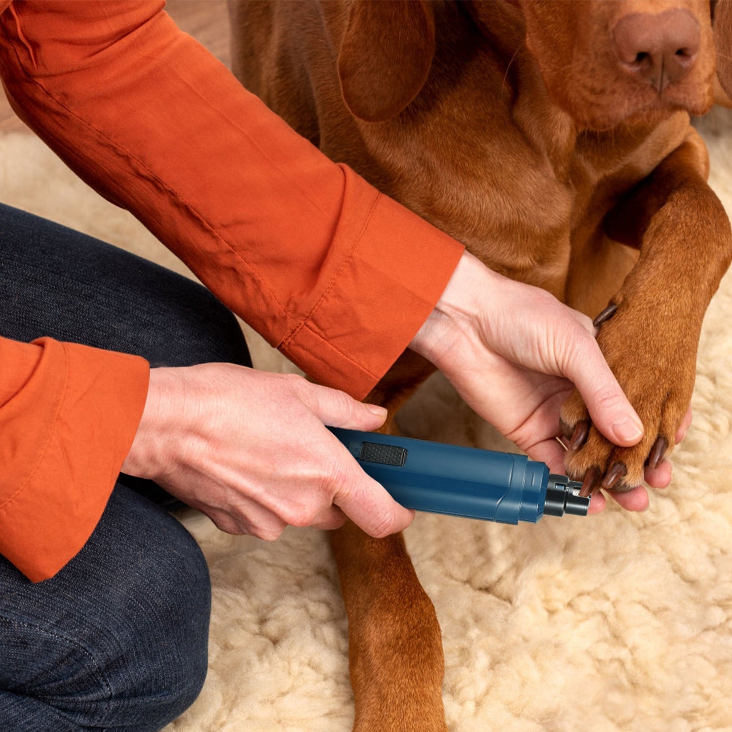 Quiet 2-Speed Dog Nail Grinder – Stress-Free Grooming at Home